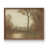 Noyer
