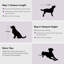 Meuble de niche pour chien 52 po