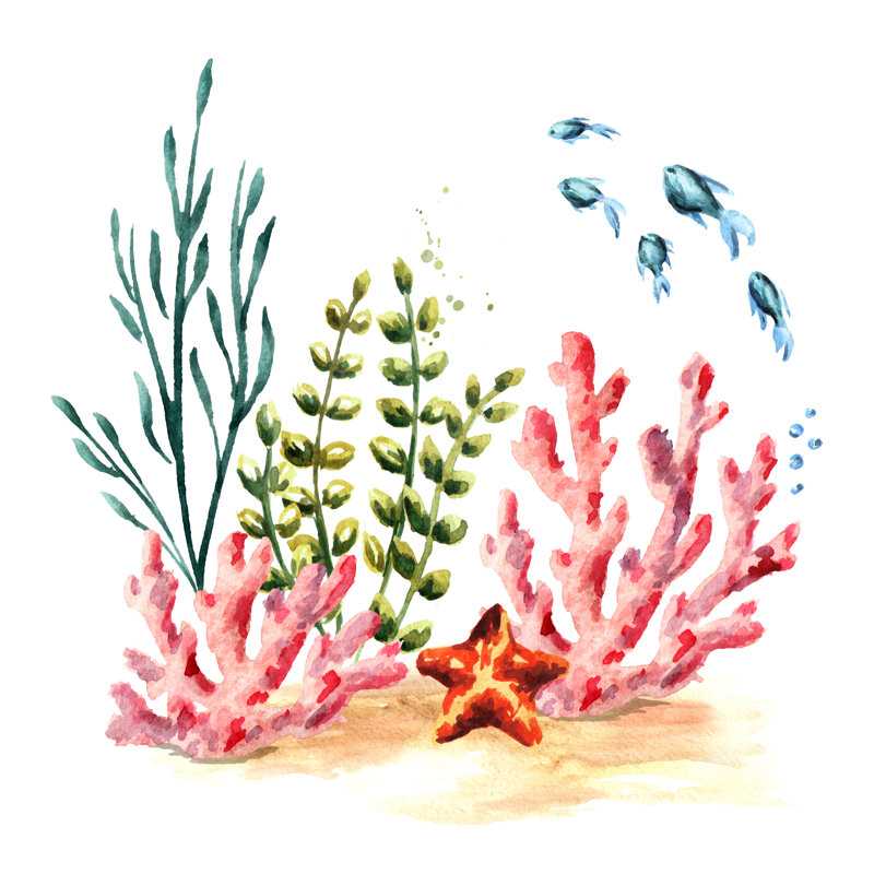 Coral, Algae And Fish by Daria Ustiugova - Wrapped Canvas Print, 30cm H x 30cm W x 3.8cm D