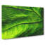Veins Of A Green Leaf - Wrapped Canvas-61852952
