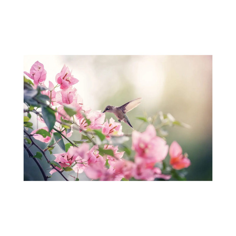 Serenity 1 Piece Wall Art on Canvas, 20.32 cm H x 30.48 cm W, Canvas