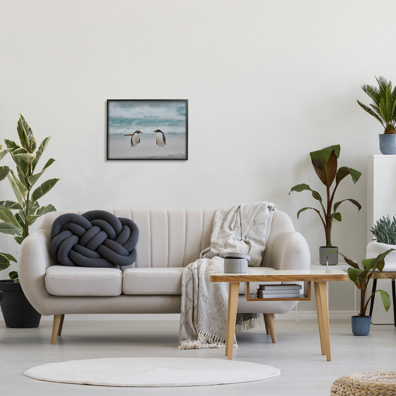 Ba-406 - Pingouins sur la plage arctique, Giclée encadrée noir minuit, H 16 po x l 20 po x P 1,5 po