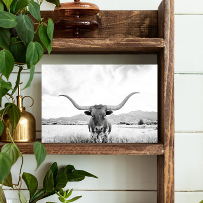 Art mural contemporain Longhorn