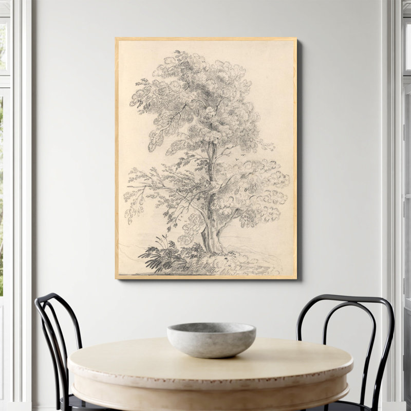 «Tree Sketch» par Wild Apple, Non, H 48 po x l 36 po, Papier avec cadre photo en érable