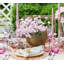Ophelia Goblet-1601487035