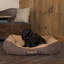 Polyester Pet Bed-2021589141-2021589099