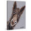 Rufus The Donkey - Wrapped Canvas Print-1428254523