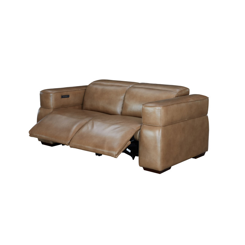 Matteo Reclining Loveseat, LE0604 Genuine Leather