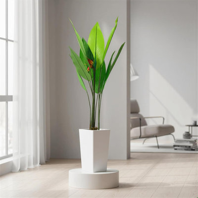147cm Plant