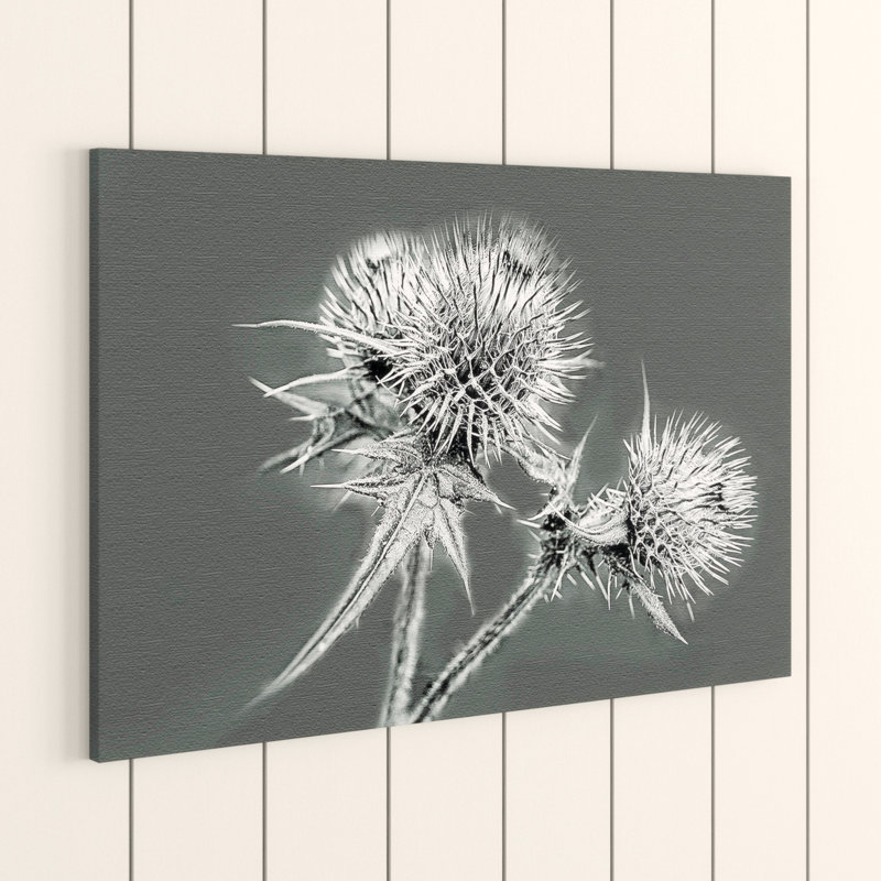 Wrapped Canvas Print, 50cm H x 76cm W
