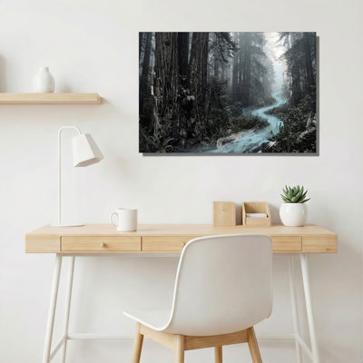 Art mural sur toile Misty Forest