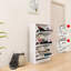 Armoire à chaussures à 3 niveaux avec miroir, étagère en bois mince pour la maison et l'appartement, blanc mat, armoire de rangement à tiroirs peu encombrante avec miroir, maison, blanc, escamotable