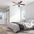 Hitchings 52'' Smart Home Ceiling Fan with LED Lights and Remote Included-816934485