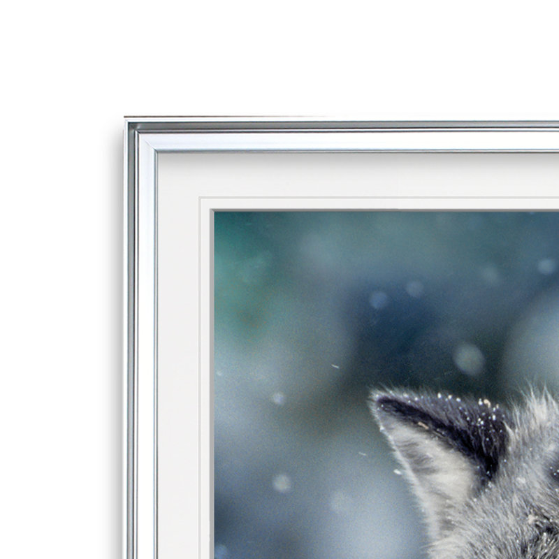 « winter watch », reproduction de photo, H 17,5 po x l 17,5 po x P 1,5 po, Cadre argenté