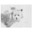 «Black and White Fox», reproduction sur toile tendue-29496501