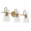 Farryn 3-Light Dimmable Vanity Light-721928901