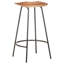 Casias Counter Stool with Metal Frame-366801365