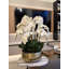 Pot à tiges d'orchidée Roberi-286301786-293210172