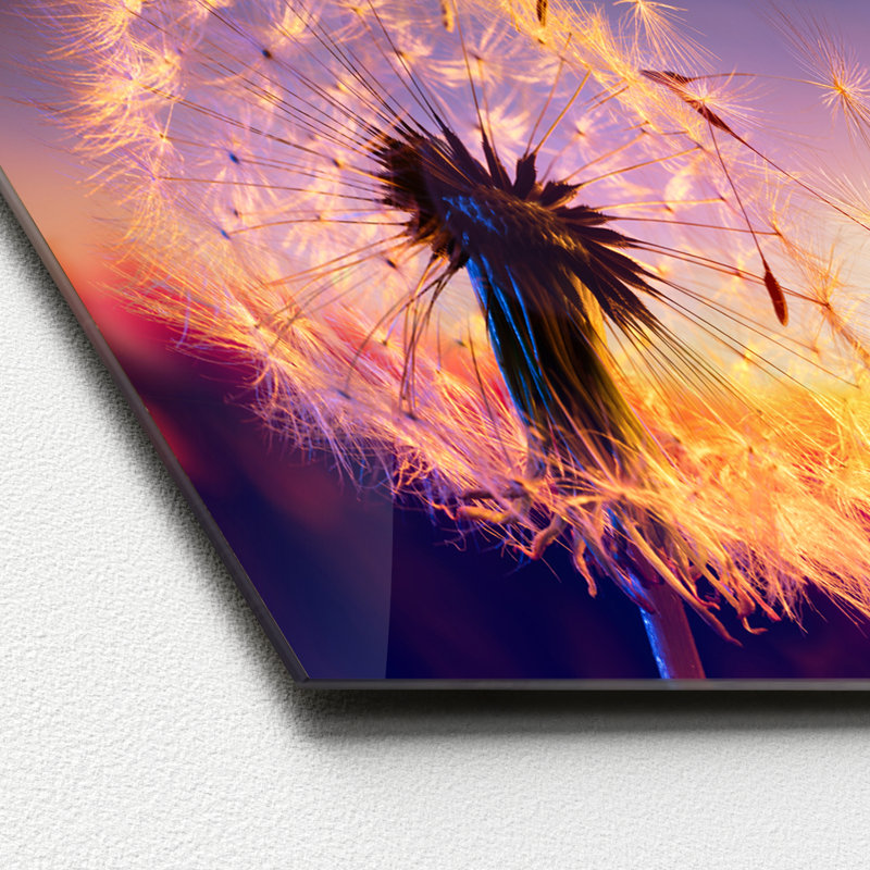 Dandelion - No Frame Print on Glass, 50cm H x 125cm W x 1.4cm D