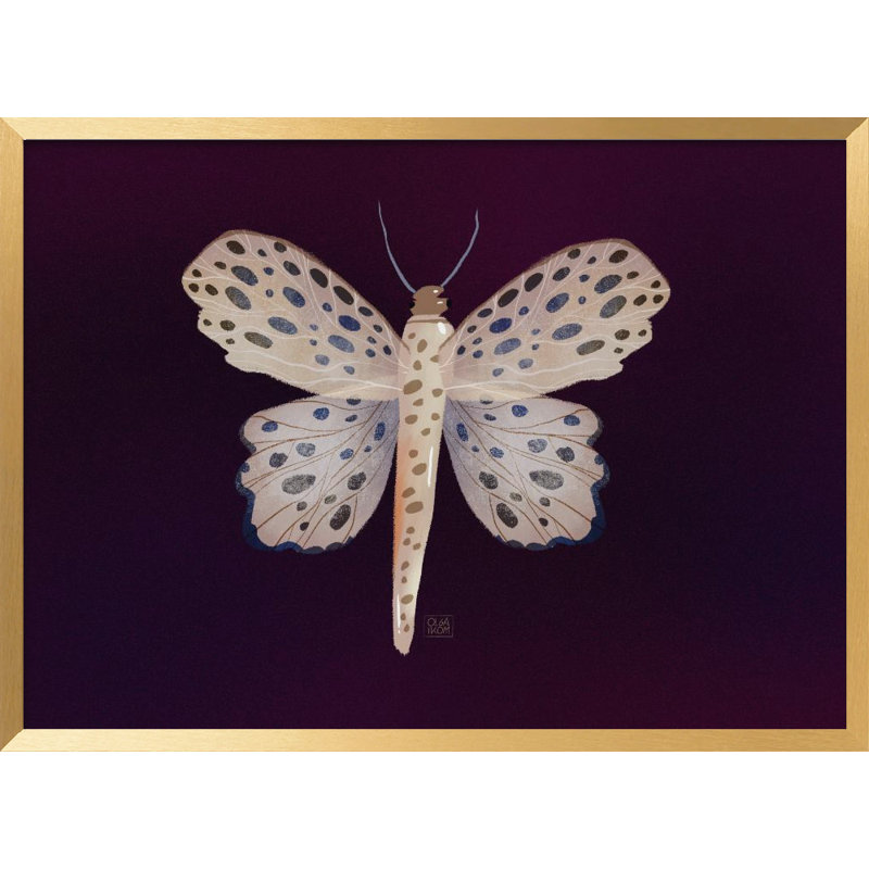 Nature Inspired "Butterfly" Framed Print Wall Art, 24" H x 30" W