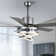 Eustolio 52'' DIY Shade Reversible Caged Ceiling Fan with Dimmable LED Light and Remote