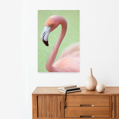 Plumage rose, oiseau, art tropical