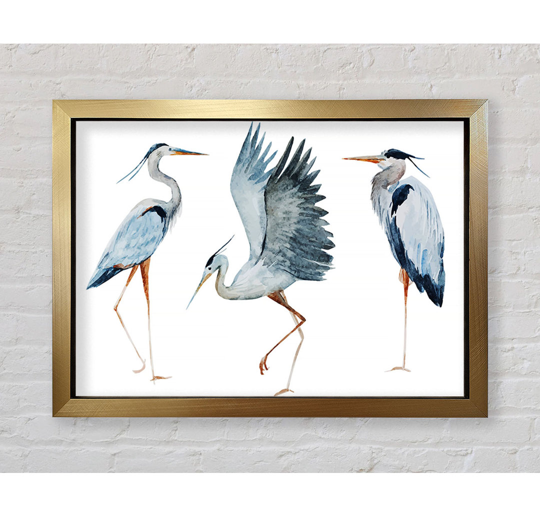 Heron Trio Gerahmter Druck Wandkunst