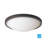 Energy Saving Flush Mount-10136898