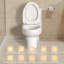 Toilette allongée une pièce à chasse double 1,1 / 1,6 GPF, siège à fermeture douce, surface vitrée