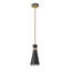Luminaire suspendu à 1 lumière-1551426917-1551426916