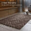 Tapis de sol Ebern Designs-1636427147