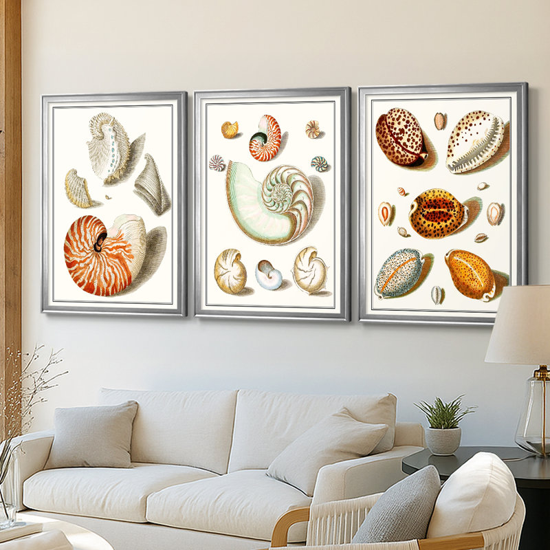 Collection de coquillages I - Toile tendue avec châssis sur mesure - 3 pièces, H 27 po x l 57 po, Argent argent