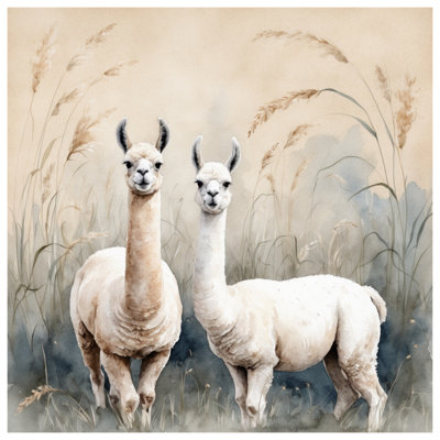 Édredon deux lamas dans un champ