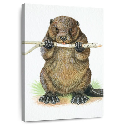 Beaver mangeur de branches Brampt