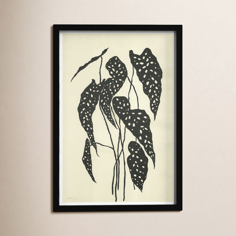 Begonia Print by Susan Hable