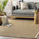 Palacio Farmhouse Seagrass Area Rug in Beige