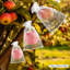 Sacs de protection des fruits-100000682