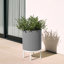 Jardinière Demi Series avec support-97745288-83889251-83889253