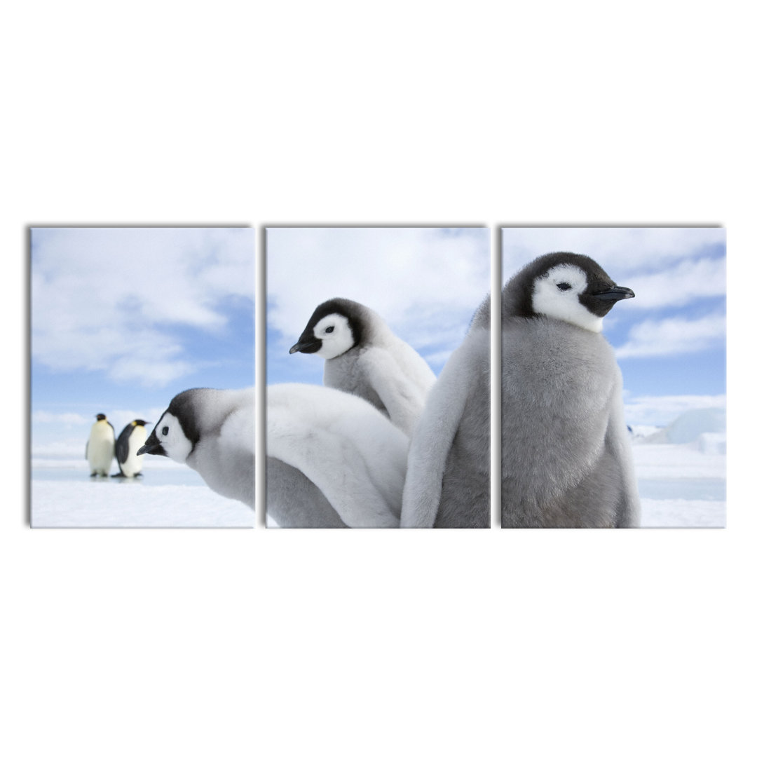 'Giant Tree in the Jungle' 3 Piece Emperor Penguins Photographic Art Print on Canvas