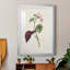 «Pretty Pink Botanicals VI» - reproduction de cadre photo-966822142-966822137