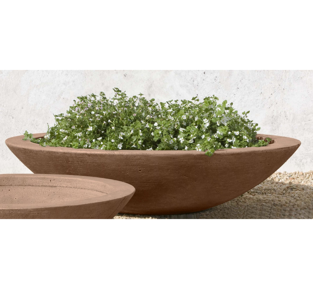 Low Zen Bowl Pot Planter Latitude Run® 