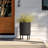 Plastic-Concrete Round Planter with Stand-1160468261