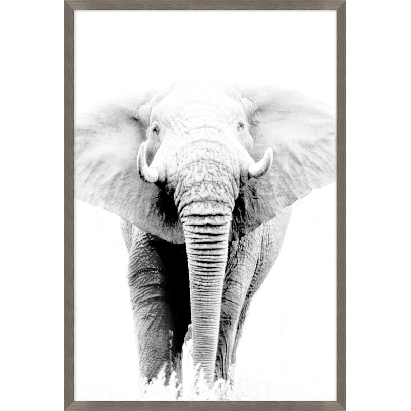 Wild Calling 2 Print by Thom Filicia