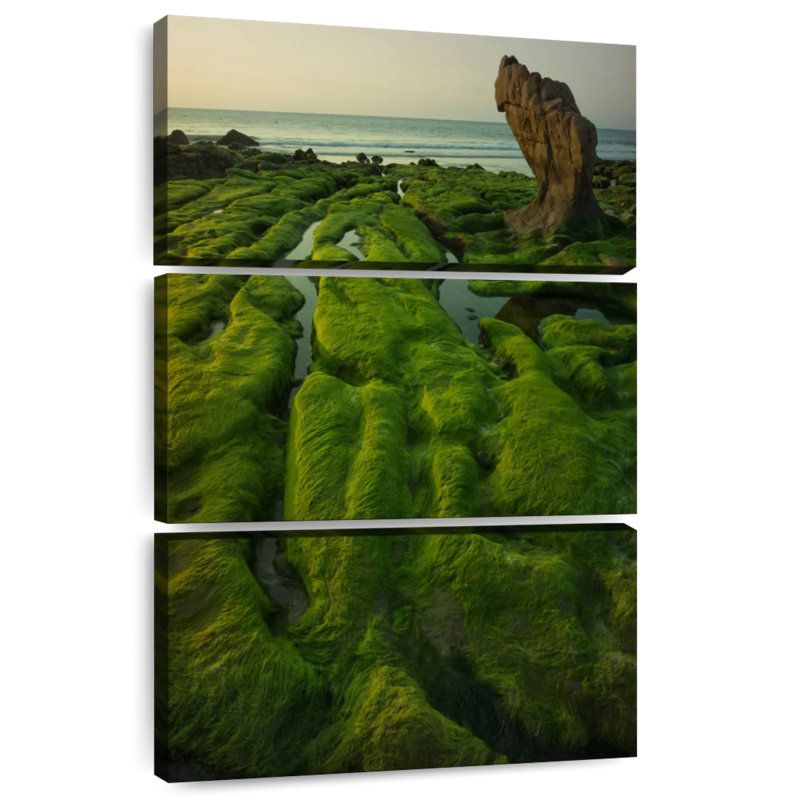 Gillard Mossy Vietnam Gillard, 45" H x 28" W