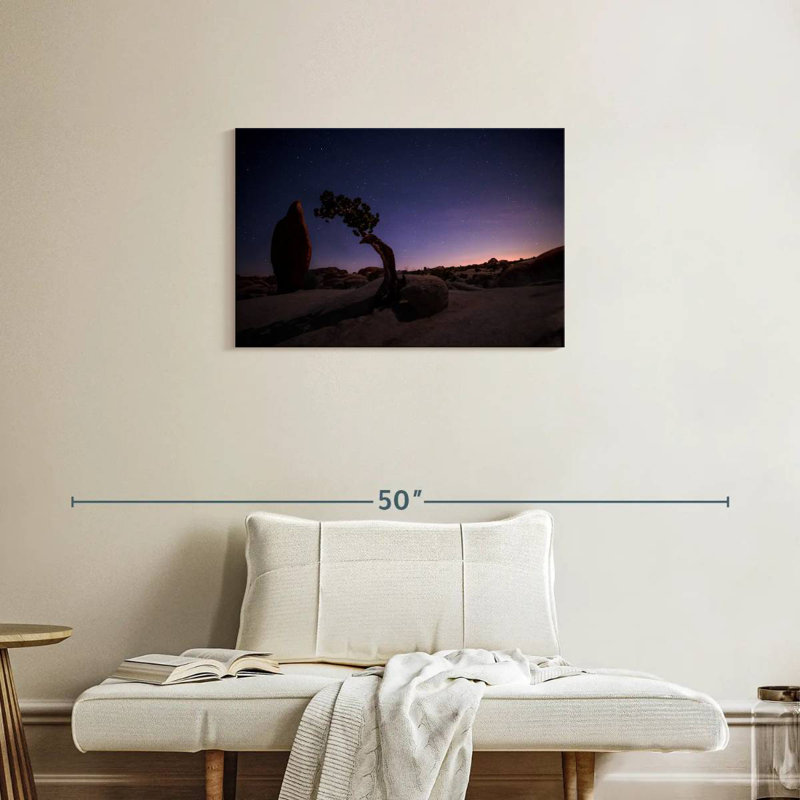 Nicci Joshua Tree Night Landscape, 20" H x 30" W