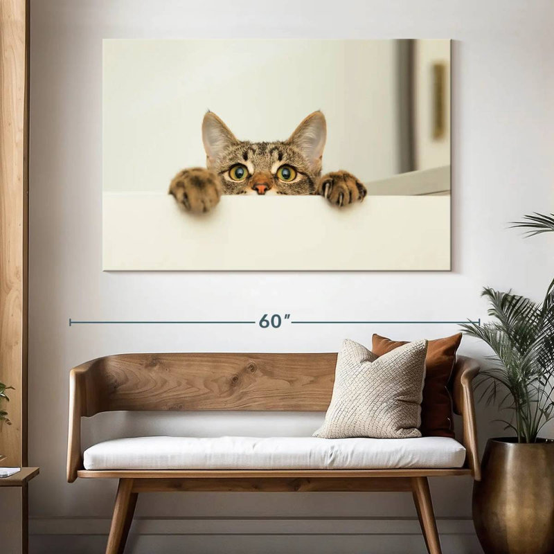 Peeking Young Cat, 34" H x 51" W