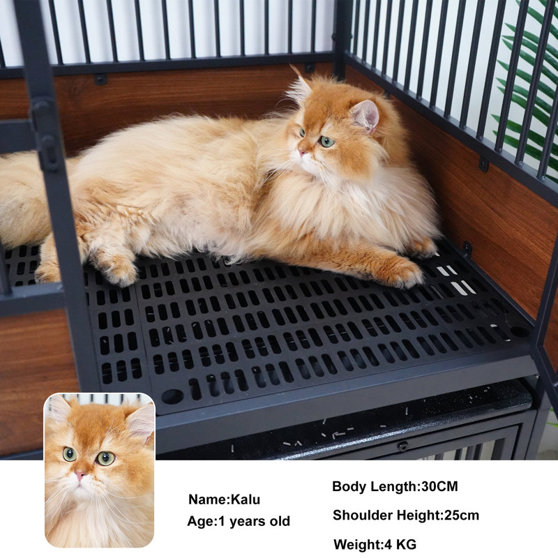 Biston Cat Cage, 1