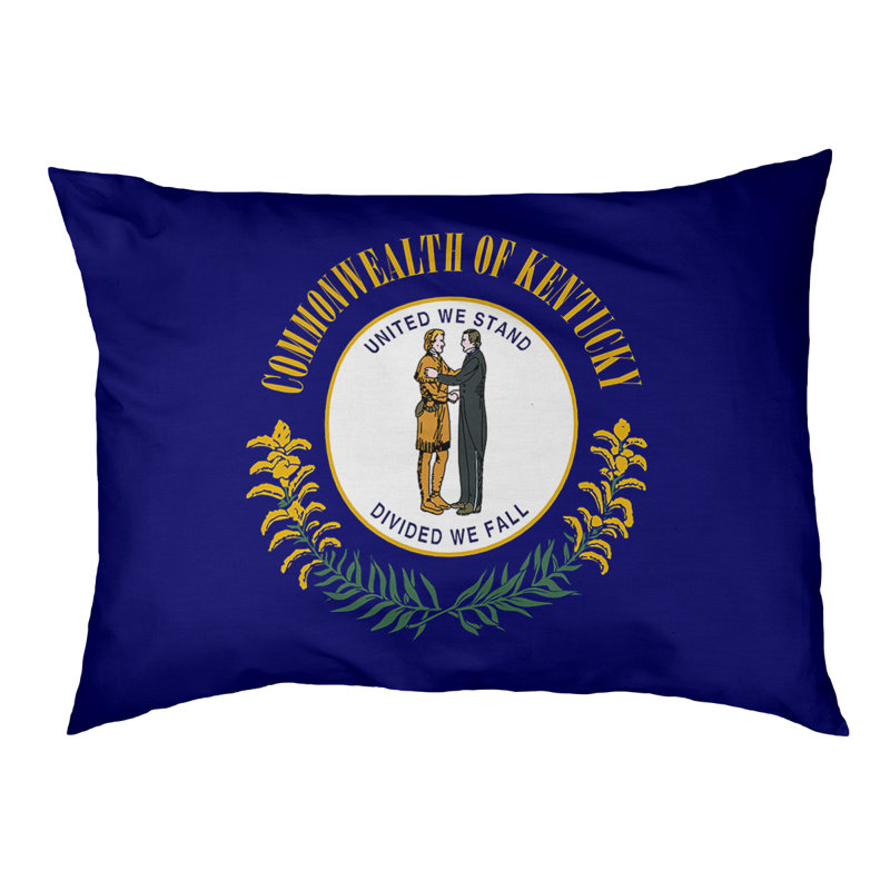 Coussin de concepteur de pavillon kentucky Burien, L 32,5 po x l 42,5 po, Noir
