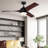 Evan 52'' Ceiling Fan with LED Lights