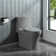 1.1/1.6 GPF Dual-Flush Elongated One-Piece Toilet with 17.32 in. Comfort Seat Height, Ceramic Glazed Surface(Soft Close Seat Included), 3 Colours Option